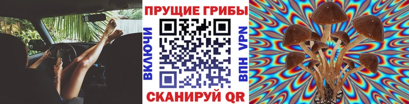 Галлюциногенные грибы мухоморы  дарнет шоп  Ессентуки 