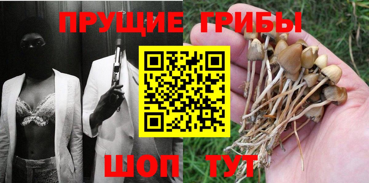 Ессентуки  Псилоцибиновые грибы мицелий  Вход с VPN 