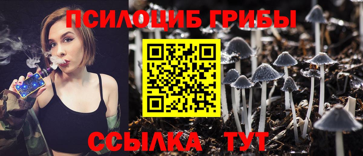Псилоцибиновые грибы Cubensis Ессентуки