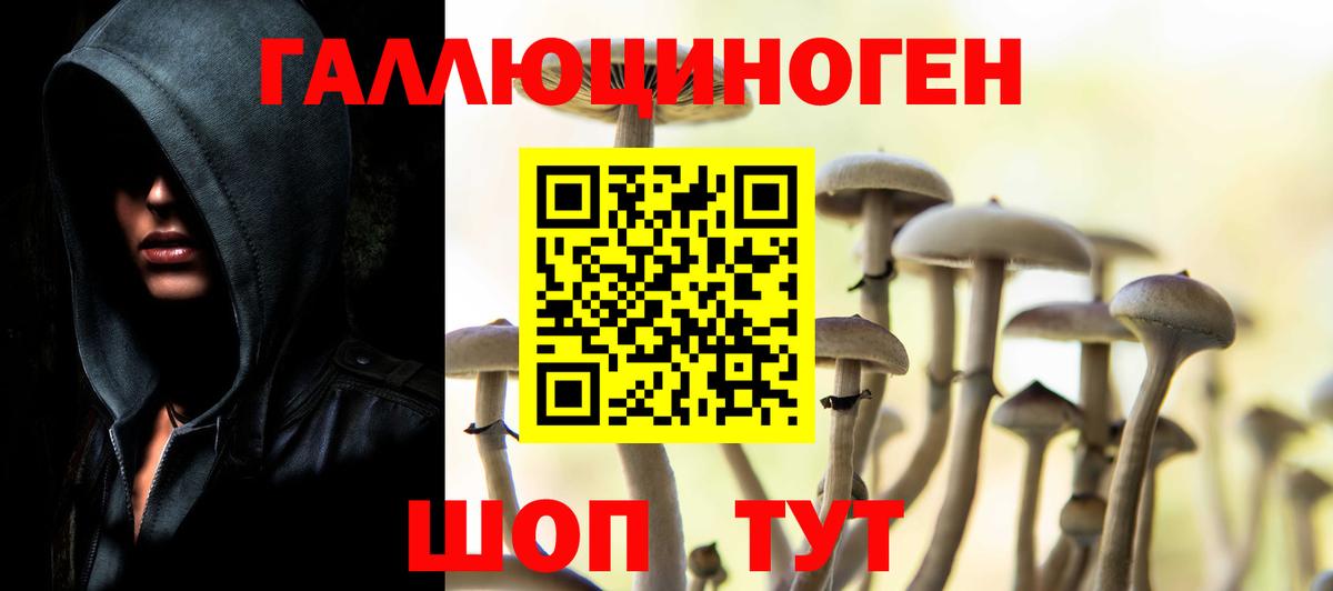 Псилоцибиновые грибы Ессентуки