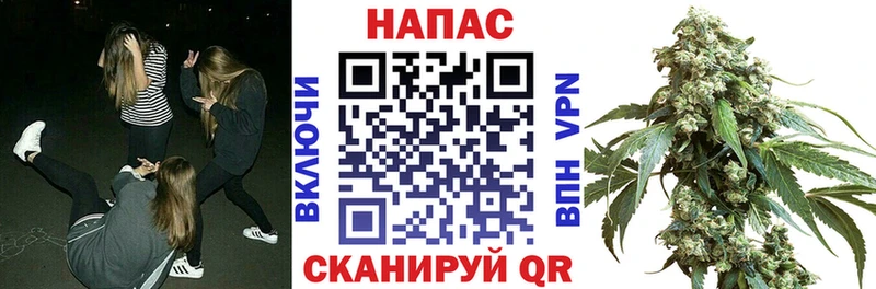 Канабис Ganja Ессентуки